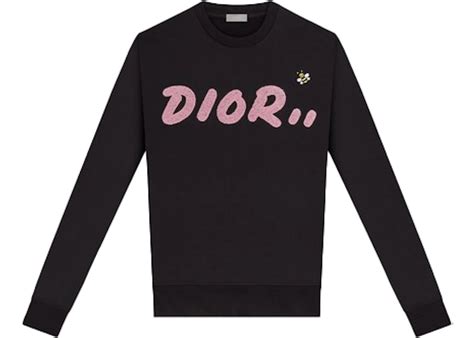 kaws x dior|dior x kaws sweater.